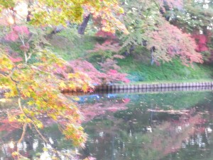 弘前公園の紅葉が進んでいます。