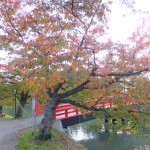 弘前公園の紅葉・いま