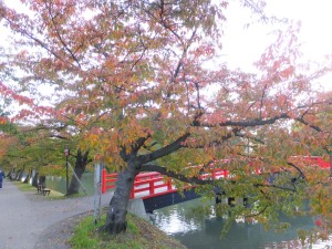 弘前公園の紅葉・いま