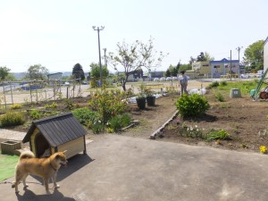 波岡教会菜園