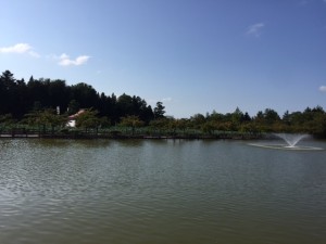 猿賀神社の池