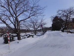 弘前公園も例年の五分の一の積雪